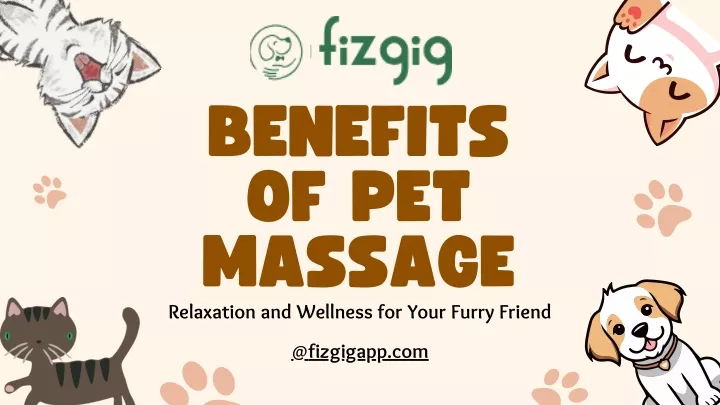 benefits of pet massage relaxation and wellness