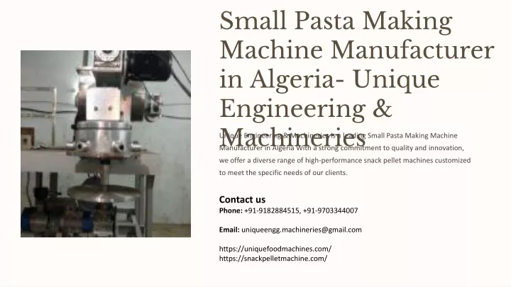 small pasta making machine manufacturer