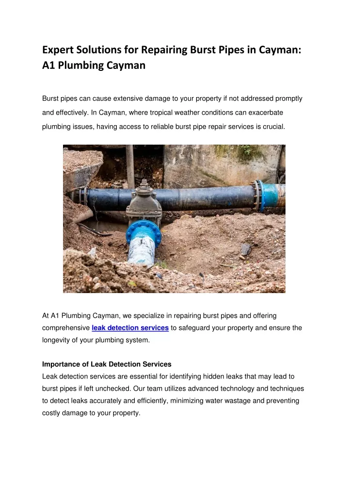 expert solutions for repairing burst pipes
