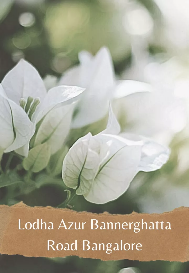 lodha azur bannerghatta road bangalore