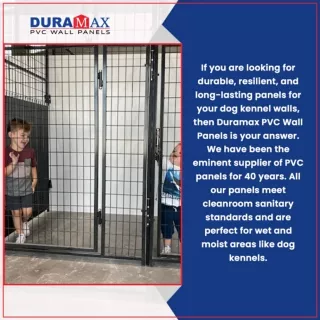 Consider PVC Panels for Creating Impact-Resistant Dog Kennel Walls