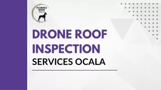 Best Drone Roof Inspection Services in Ocala