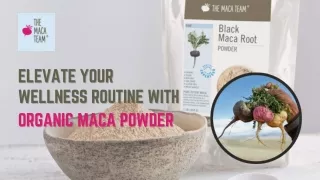 Elevate Your Wellness Routine With Organic Maca Powder