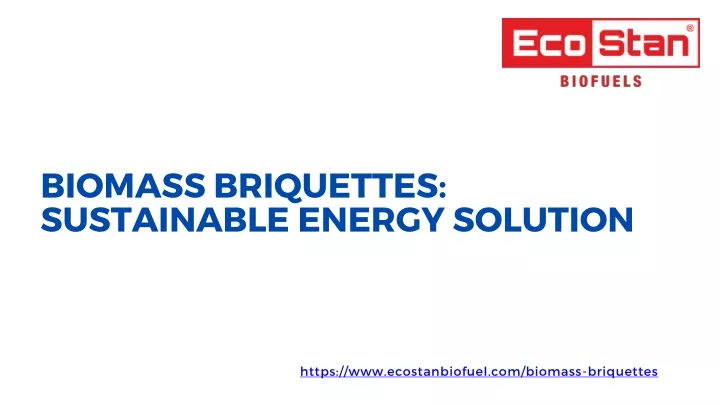 biomass briquettes sustainable energy solution