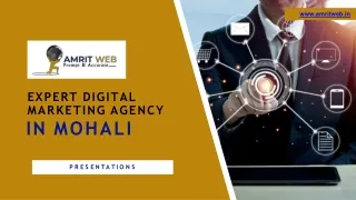 Expert Digital Marketing Agency in mohali