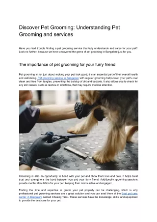 Discover Pet Grooming: Understanding Pet Grooming and services