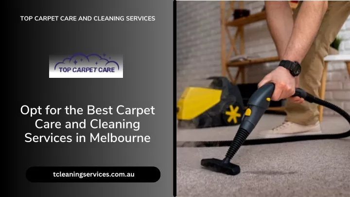 top carpet care and cleaning services