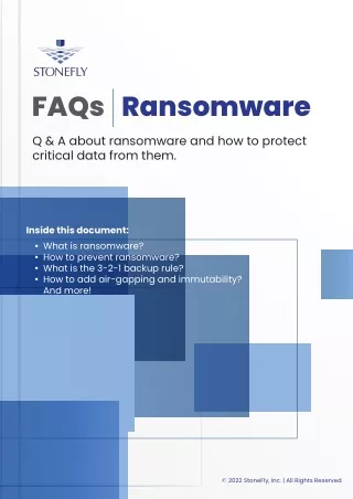 Combatting Ransomware: Strategies for Prevention and Recovery