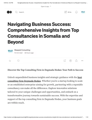 Navigating Business Success_ Comprehensive Insights from Top Consultancies in Somalia and Beyond
