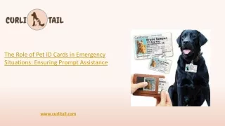 Role of Pet ID Cards in Emergency Situations