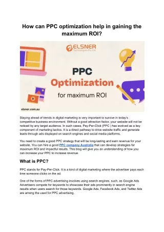 How can PPC optimization help in gaining the maximum ROI?