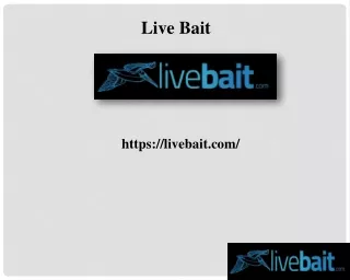 Cast Net, livebait.com