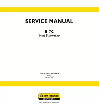 New Holland E17C Mini Excavator Service Repair Manual