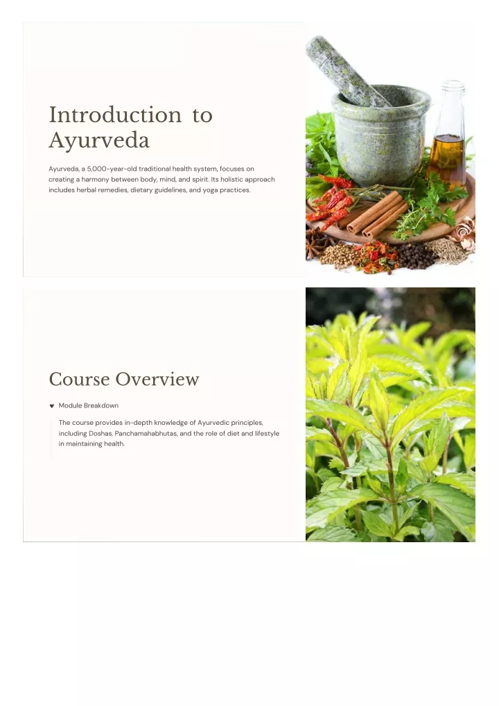 introduction to ayurveda