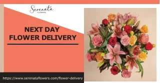 Next Day Flower Delivery - Send Fresh Flowers Tomorrow - Serenata Flowers