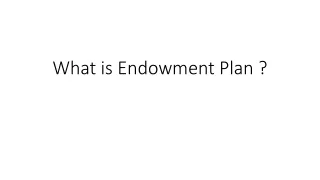 what is endowment plan