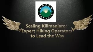 Scaling Kilimanjaro Expert Hiking Operators to Lead the Way