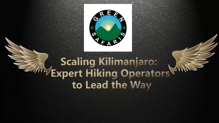 scaling kilimanjaro expert hiking operators