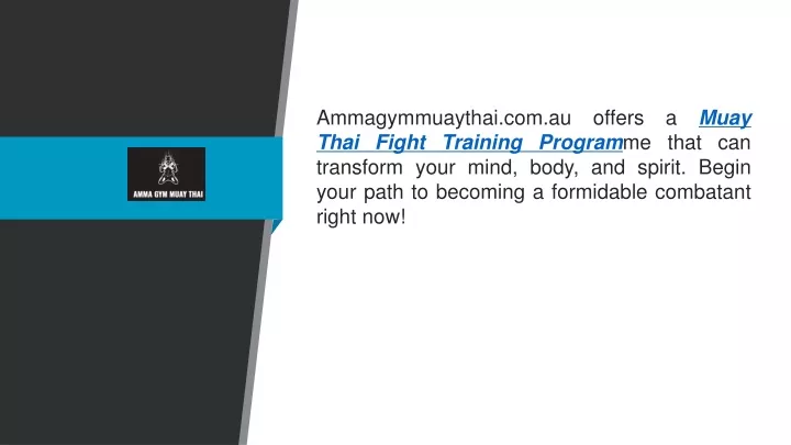 ammagymmuaythai com au offers a muay thai fight