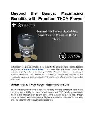 Beyond the Basics_ Maximizing Benefits with Premium THCA Flower