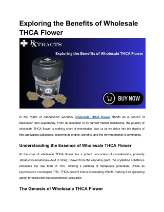 Exploring the Benefits of Wholesale THCA Flower