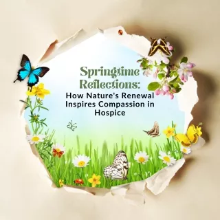 Springtime Reflections How Nature's Renewal Inspires Compassion in Hospice