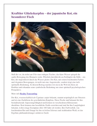 Krafttier Glückskarpfen – der japanische Koi, ein besonderer Fisch