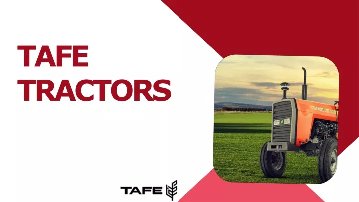 tafe tractors