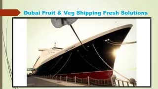 Dubai Fruit & Veg Shipping Fresh Solutions