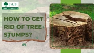 How to Get Rid of Tree Stumps?