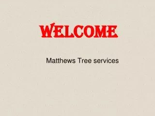 Best Tree Removals in Heaton Moor.