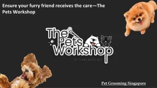 Ensure your furry friend receives the care—The Pets Workshop