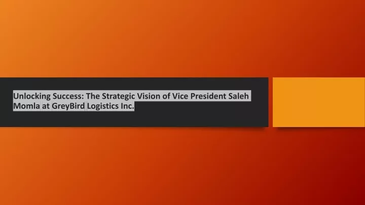 unlocking success the strategic vision of vice