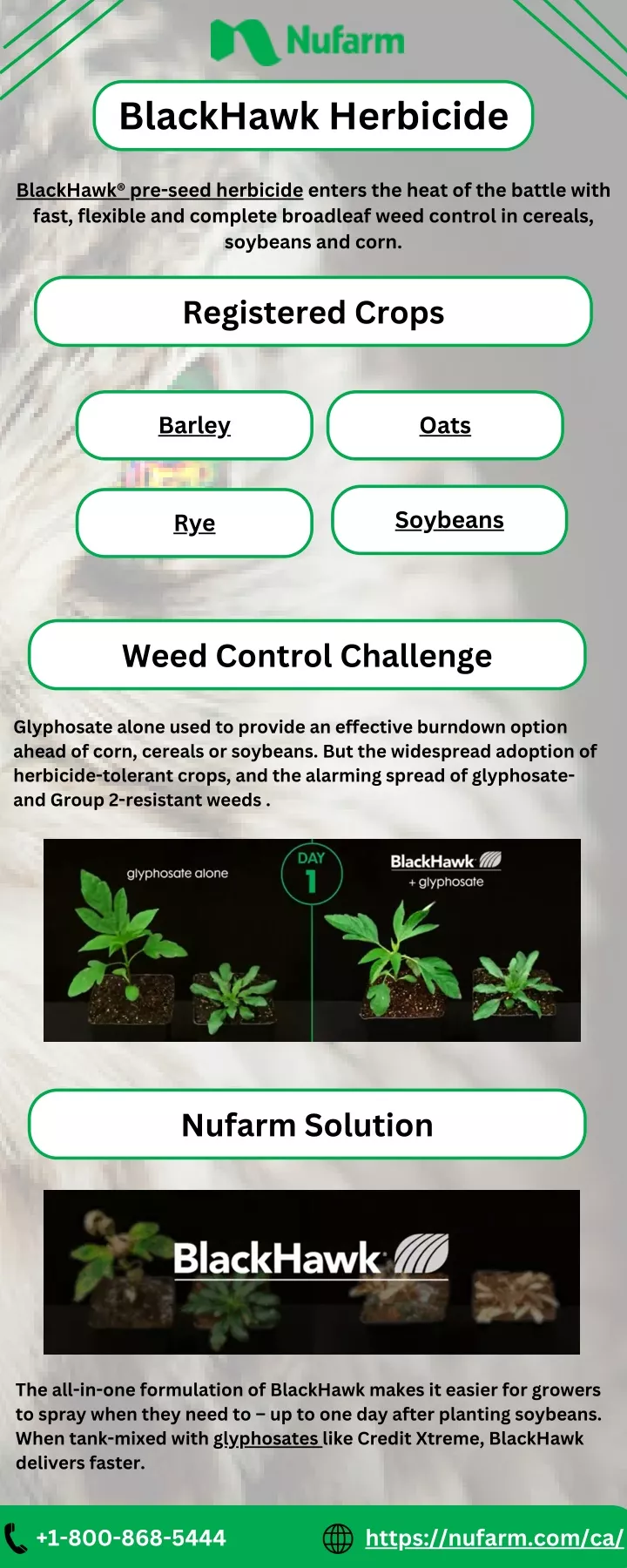 blackhawk herbicide