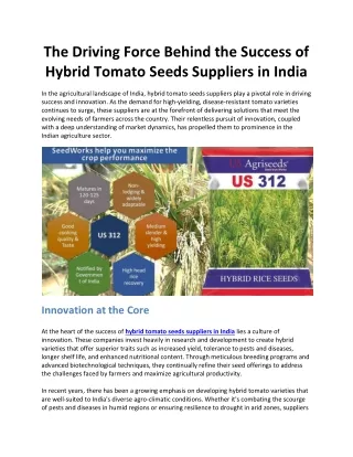 The Driving Force Behind the Success of Hybrid Tomato Seeds Suppliers in India
