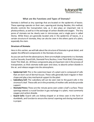 What are the Functions and Types of Stomata?