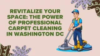 Top Rated Professional Carpet Cleaning in Washington DC