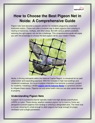 Pigeon net for balcony Noida