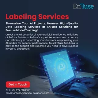 Streamline Your AI Projects with EnFuse Solutions’ Data Labeling Services