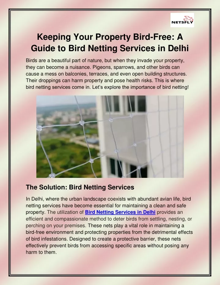 keeping your property bird free a guide to bird