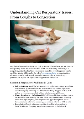 Understanding Cat Respiratory Issues_ From Coughs to Congestion