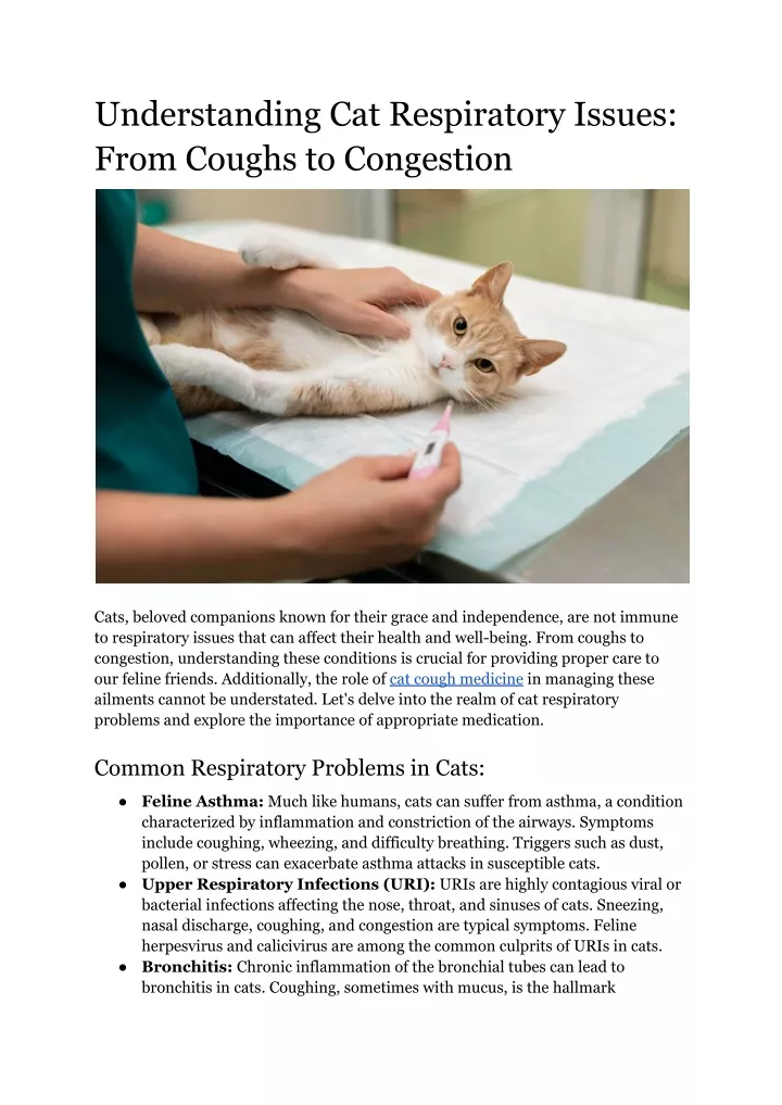 understanding cat respiratory issues from coughs