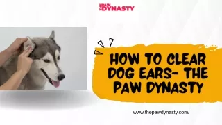How to Clear Dog Ears- The Paw Dynasty