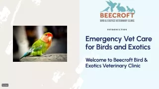 Emergency Veterinary Clinic Singapore - 24 hour Vet Singapore