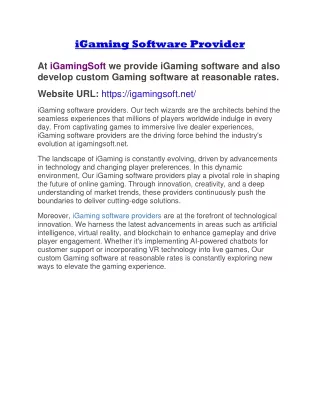 iGaming Software Provider