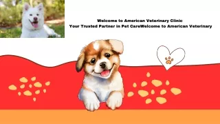 American veterinary-Veterinary Clinic