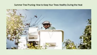 Summer Tree Pruning: How to Keep Your Trees Healthy During the Heat
