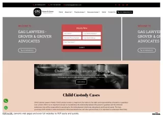 Child Custody Lawyer in Noida