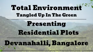 Total Environment Tangled Up In The Green - Crafting Idyllic Living in Bangalore