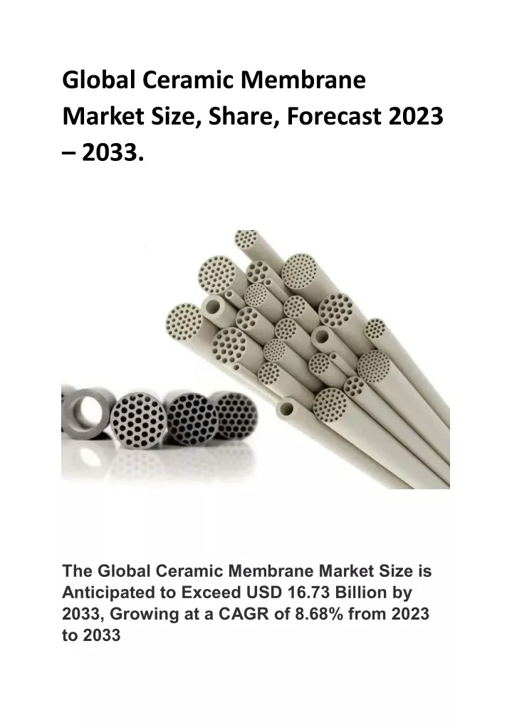 global ceramic membrane market size share